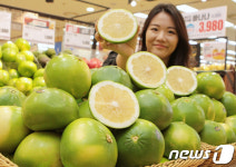 롯데마트, 메로골드 킹자몽 출시