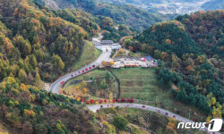 아름다운 오도재 단풍길