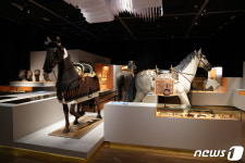 국립김해박물관 말을 탄 가야 특별전 오늘 개막…말갖춤 800점 출품