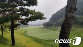 31명 확진 용인 골프모임에서 무슨 일이…은행원 집단감염과 관련?