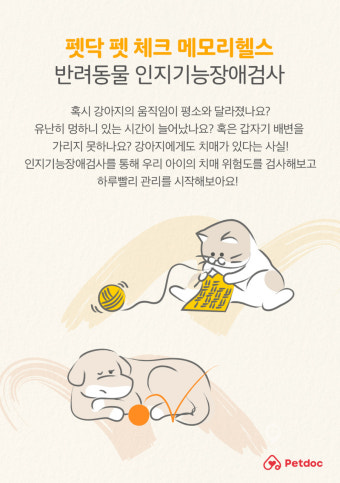 반려동물도 치매 걸린다…인지장애 증상과 검사 방법은
