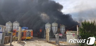 전남 무안 돈사에서 화재…돼지 2100마리 소사