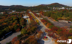 인천대공원이 울긋 불긋