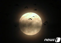 19년만의 핼러윈 블루문