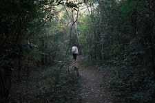 2m 거리두고도 만끽할 수 있는 늦가을 여행지