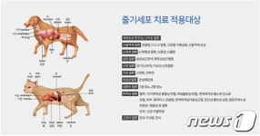 [기고]반려동물 난치성 질환도 줄기세포로 치료…주의사항은