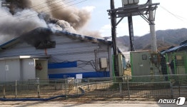 철원 돼지농장서 불…돼지 3160마리 폐사