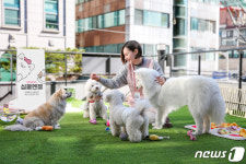 개린이들 오세요 펫프렌즈, 국내 최초 사내 반려동물 어린이집 개원