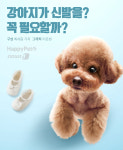 [펫카드]추워졌는데 발 시리면 어쩌나…강아지에게 신발 필요할까?