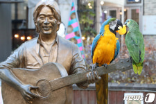 김광석과 앵무새