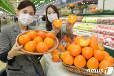 달콤한 대봉시 맛보세요