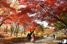 경희궁에 물든 가을빛