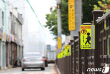 대구 수창초교 앞 속도 낮추세요…스쿨존 무인단속 3만1680건 최다