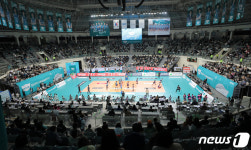 배구경기 관중 50% 입장 시작