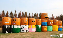 곤포 사일리지에 그려진 익살스런 표정