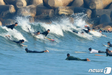 오늘은 파도 타기 좋은날