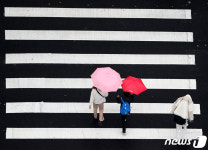 우산과 횡단보도