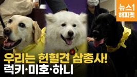 [영상] 우리는 헌혈견 삼총사!…상도 받았어요
