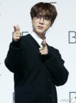 BTS 진 진지하게 빵야빵야