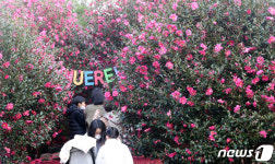 Foto hasil carian Naver 2