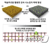KAIST, 나노촉매-금속산화물 기반 황화수소 가스 센서 개발
