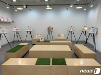 관악구 글빛정보도서관 재탄생…카멜레존 신설