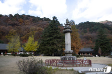 [사진으로 만나는 북한 문화유산] ⑦ 묘향산 보현사