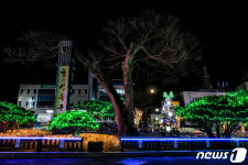 [포토]연말연시 맞아 환하게 불 밝힌 진안군청 트리