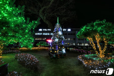 [포토]연말연시 맞아 환하게 불 밝힌 진안군청 트리