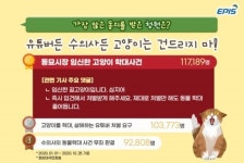 SNS서 반려동물 언급량 급증…사건·사고 40%, 고양이 청원 1위