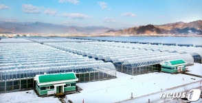 축복받은 땅…눈쌓인 북한 중평남새온실농장