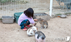 푸른 초지 위 양떼구름과 함께 걸어볼까…경기도 목장을 가다