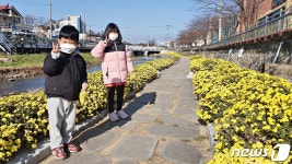 충주시 용산동행정복지센터, 국화꽃으로 힐링 제공