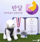 반려동물 건강검사하는 반디피트 서울국제발명전시회 은상 수상
