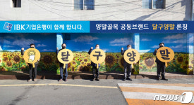 IBK기업은행, ‘IBK희망디자인’으로 대구 대신동 양말골목 지원