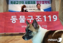 쑥섬 고양이들에게 사료 지원 동물구조119-두나펫코리아 맞손