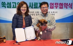 쑥섬 고양이들에게 사료 지원 동물구조119-두나펫코리아 맞손