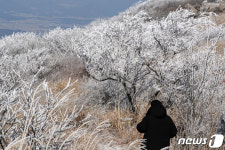 [화보] 광주에 첫 눈…무등산에 핀 상고대 겨울왕국