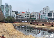 광주 시민 휴식처 운천저수지에 물이 없어졌네…
