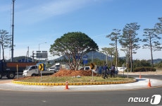 정읍 인성농원 양인섭 대표, 정읍시에 2천만원 상당 소나무 기증