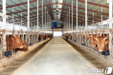 정읍시, 올해 악취없는 깨끗한 축산농장 33곳 선정