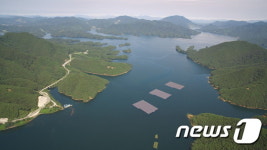 물 위의 그린뉴딜 수상태양광의 묵묵한 버팀목…포스코 포스맥