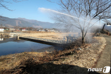 천변 방역소독 AI 막아라