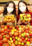 롯데마트 어떤 토마토를 좋아할 지 몰라 다 준비했습니다