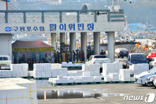 조기입항 행정명령받고 입항한 구룡포 선원들