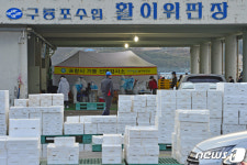 일손 잠시 놓은 구룡포 오징어 배 선원들