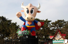 코로나 잡는 소 조형물