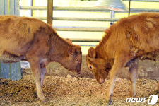 [희망2021] 희망 잃지 않는 새해되소