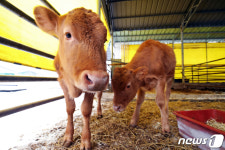 [희망2021] 우리가 침수 피해 속에서 태어 났다우