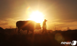 [희망2021] 희망의 신축년 순조롭게 나아가길